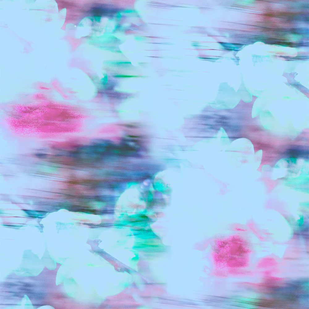 Photographic